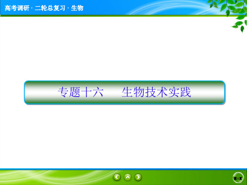 2020高考生物二轮总复习专题十六  生物技术实践-精校