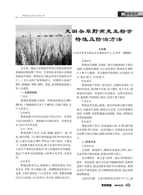 麦田杂草野燕麦生物学特性及防治方法