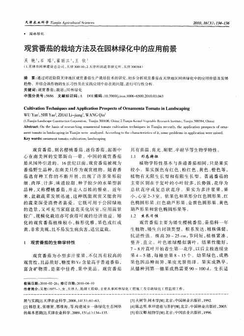 观赏番茄的栽培方法及在园林绿化中的应用前景
