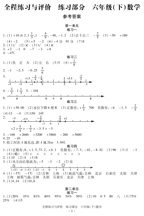 《全程练习与评价》六年级下册数学 练习答案