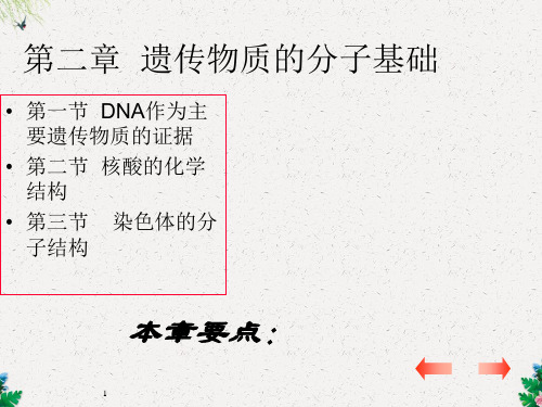 第二章_遗传物质的分子基础 (共62张PPT)