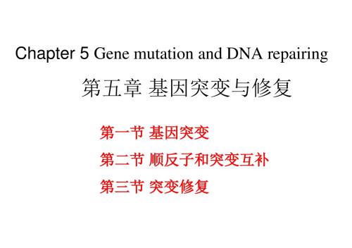 5分子生物学第五章-基因突变和修复-PPT课件