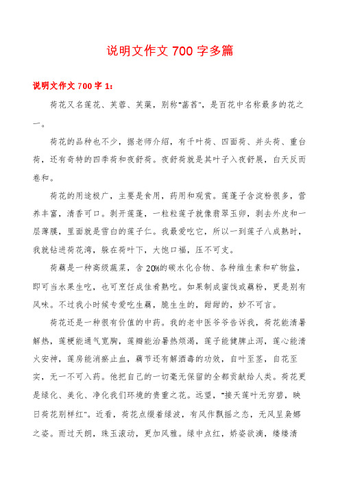 说明文作文700字多篇