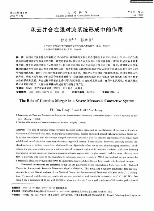 积云并合在强对流系统形成中的作用