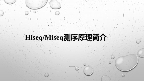 illumina Hiseq [Miseq] 测序原理