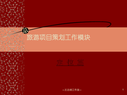 旅游地产项目定位篇王志刚经典-副本