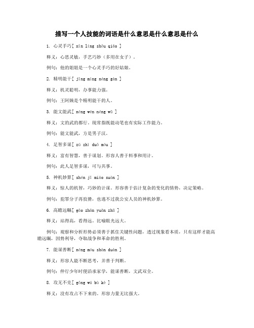 描写一个人技能的词语是什么意思是什么意思是什么
