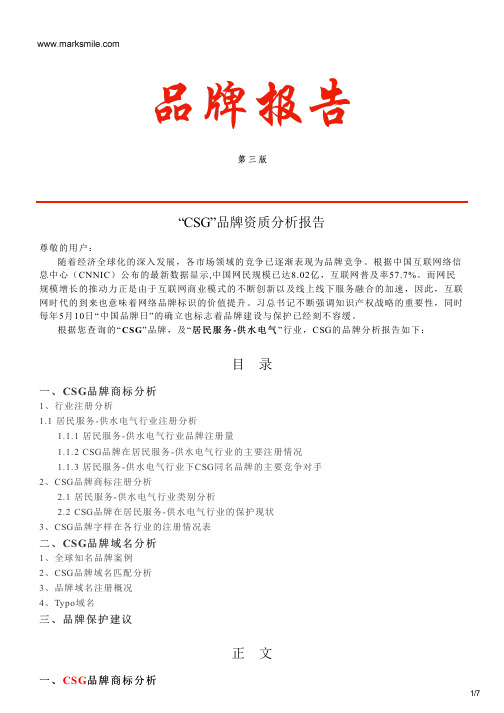 CSG的品牌资质分析报告