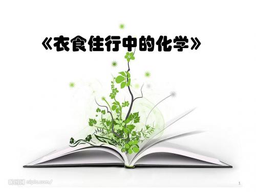 衣食住行中的化学ppt课件