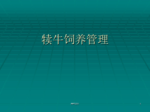 犊牛饲养管理(整理)  ppt课件