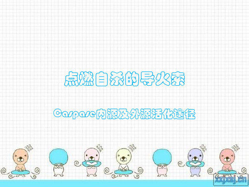caspase内源及外源活化途径
