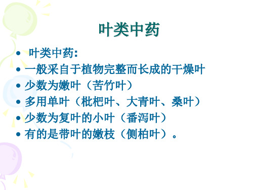 中药鉴定学：叶类中药