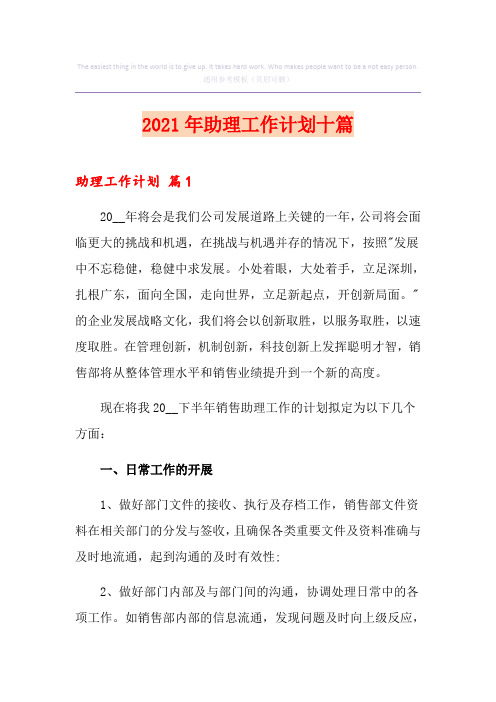 2021年助理工作计划十篇