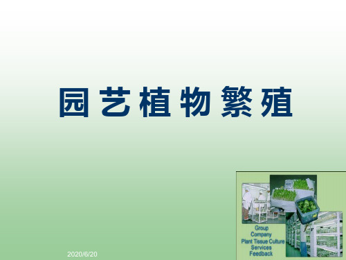园艺植物繁殖2  华中农业大学园艺概论讲义