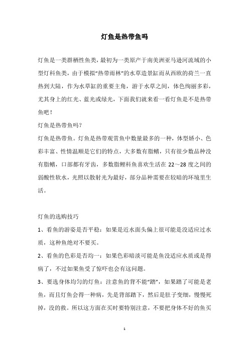 灯鱼是热带鱼吗