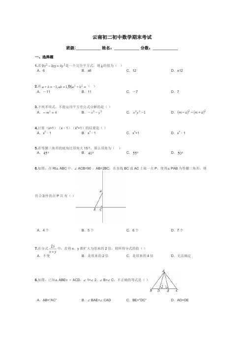 云南初二初中数学期末考试带答案解析
