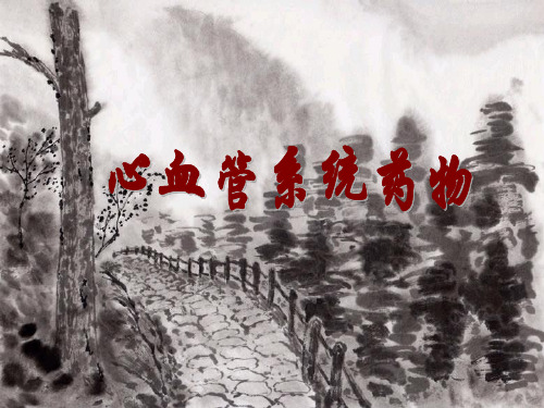 心血管系统药物