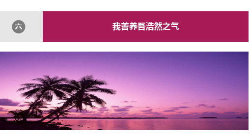先秦诸子散文选读2.6 我善养吾浩然之气