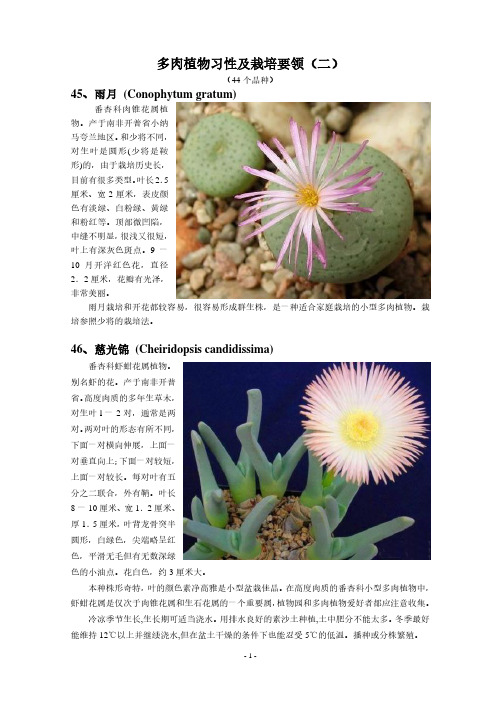 多肉植物习性及栽培要领(二)