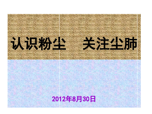 水泥企业职业健康安全知识培训会讲ppt课件