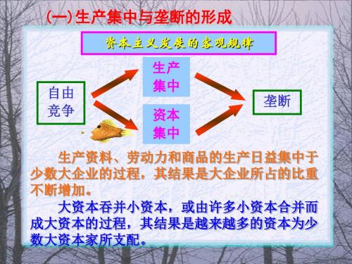 马克思主义哲学第五章-1从自由竞争资本主义到垄断资本主义-文档资料