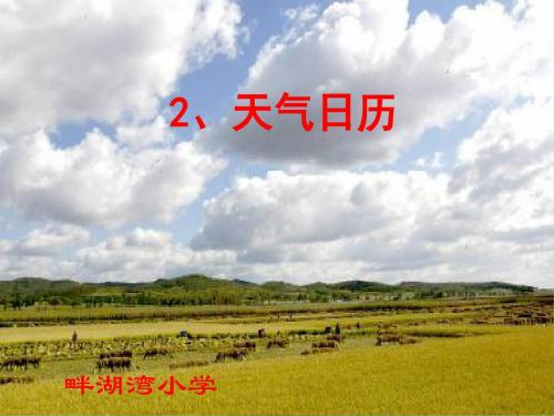 天气日历 课件(教科版科学四年级上册)