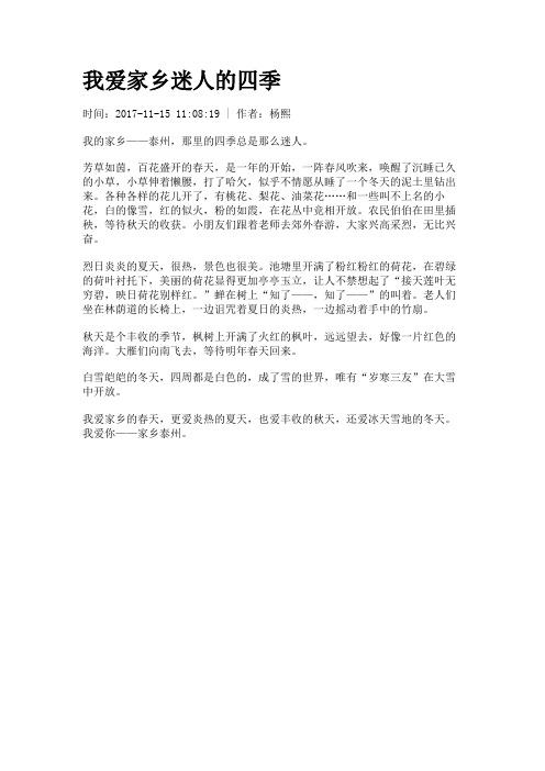 我爱家乡迷人的四季