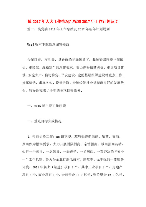 镇2017年人大工作情况汇报和2017年工作计划范文