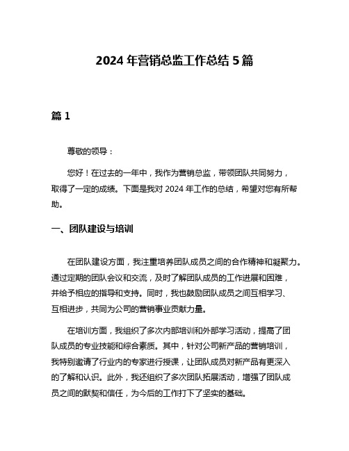 2024年营销总监工作总结5篇