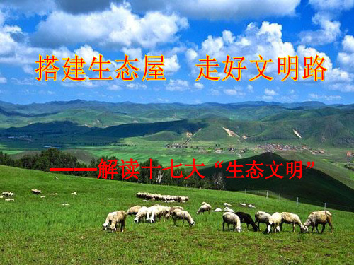解读十七大生态文明汇总