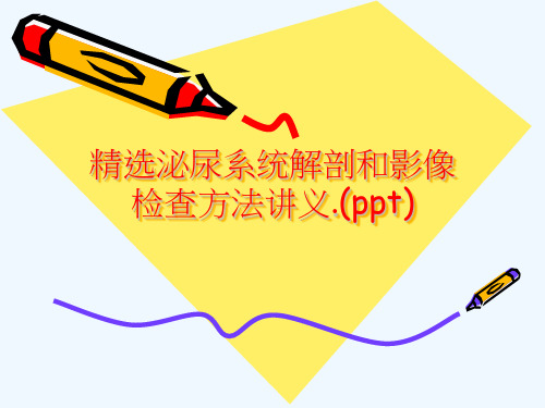 精选泌尿系统解剖和影像检查方法讲义.(ppt)