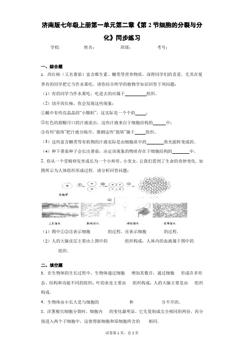 济南版七年级上册第一单元第二章《第2节细胞的分裂与分化》同步练习