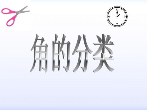 角的分类(ppt课件)