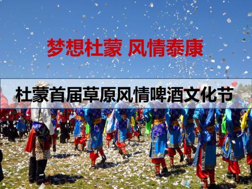 2015泰康啤酒节方案4.20
