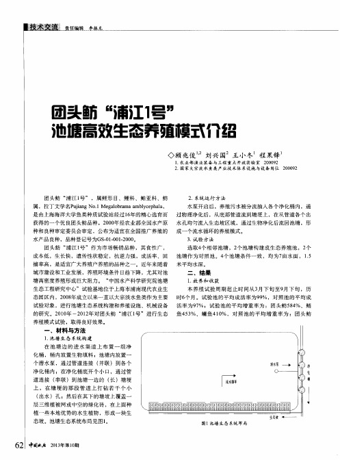 团头鲂“浦江1号”池塘高效生态养殖模式介绍