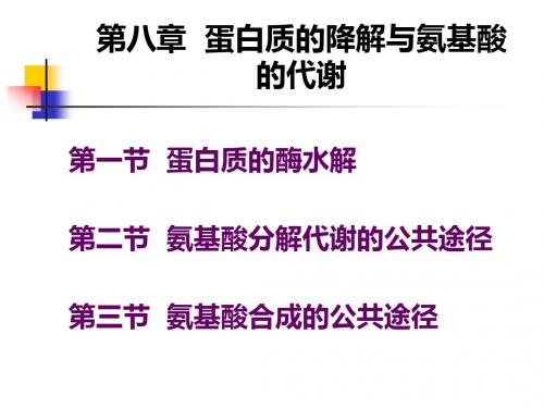 第八章蛋白质的降解与氨基酸的代谢江大食品生化
