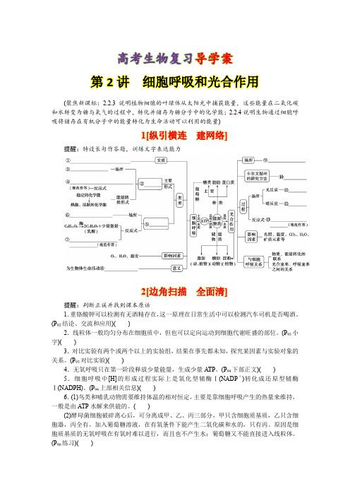 高考生物复习导学案：2-2细胞呼吸和光合作用(附答案)