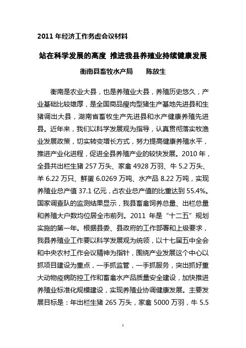 2011年经济工作务虚会议材料