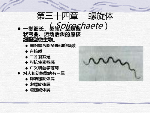 第二十六章 螺旋体