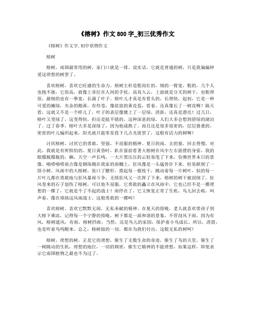 《榕树》作文800字_初三优秀作文