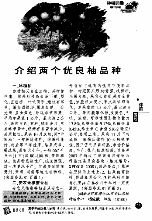 介绍两个优良柚品种