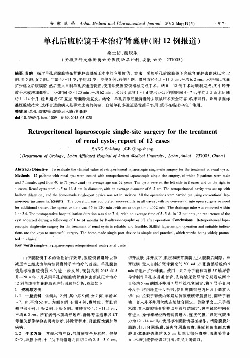 单孔后腹腔镜手术治疗肾囊肿(附12例报道)