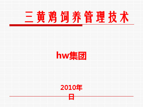 三黄肉鸡饲养管理2