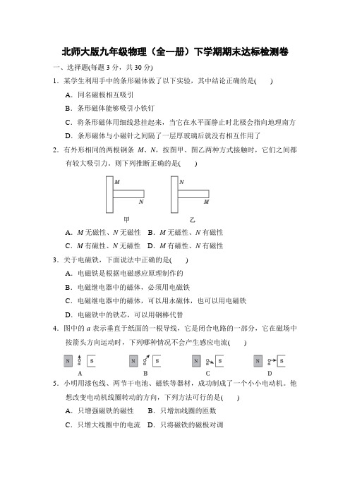 北师大版九年级物理(全一册)下学期期末达标检测卷附答案
