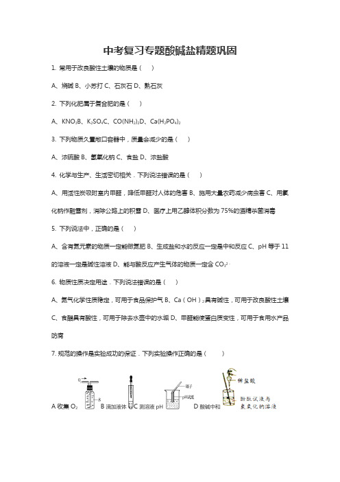 中考化学复习专题：酸碱盐精题巩固训练