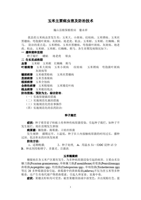 玉米病虫害