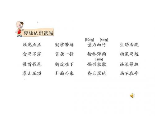 积累与运用五