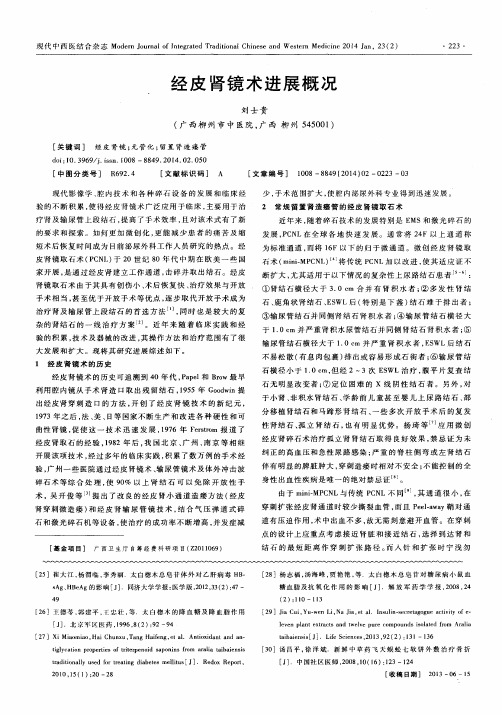 经皮肾镜术进展概况