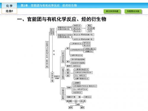 鲁科版高中化学选修有机化学基础 官能团与有机化学反应烃的衍生物课件2
