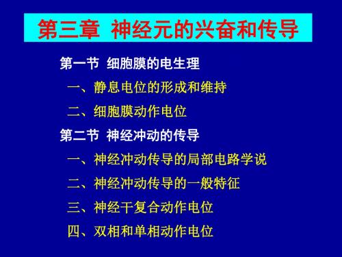 第三章 神经元的兴奋和传导